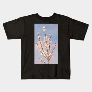 Peach blossom - Prunus persica - botanical illustration Kids T-Shirt